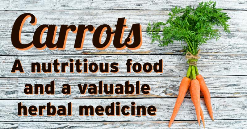 The Health-Building Uses of Carrots: Whether domesticated or wild, carrots are nutritious food and a valuable medicine