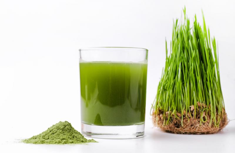 Barley Grass and Juice