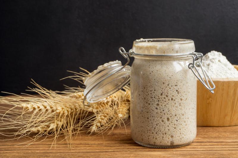 Sourdough starter