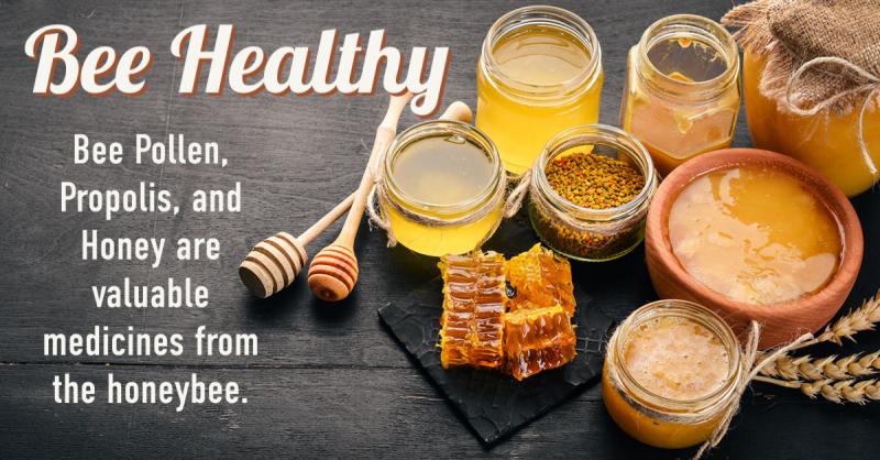 Bee Healthy: Bee pollen, propolis, and honey are all valuable medicines provided by honeybees