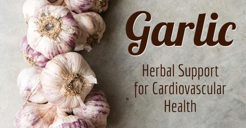 Garlic for Cardiovascular Health: Reduce your risk of cardiovascular disease and help to lower blood pressure and cholesterol with the power of garlic