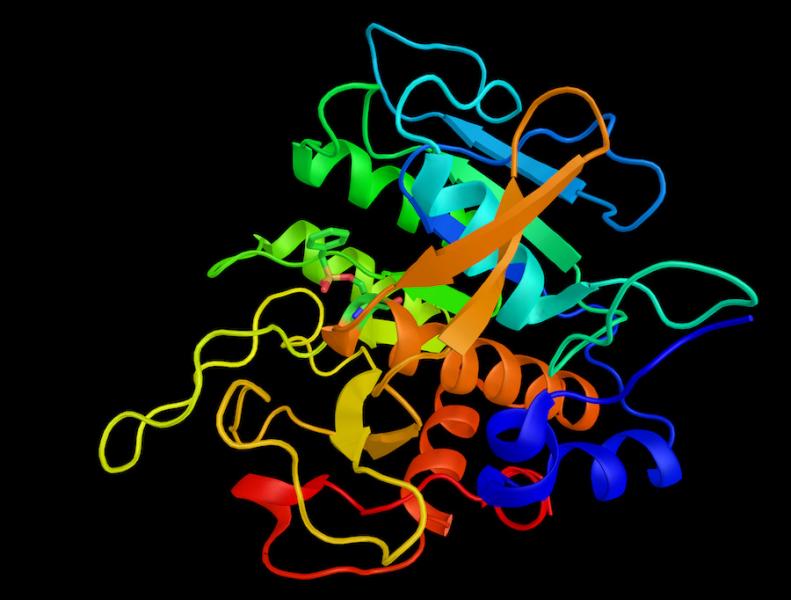 Nattokinase enzyme structure