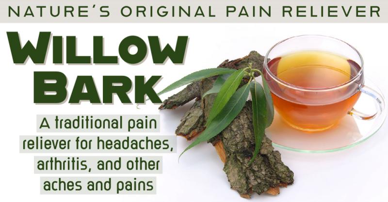 Willow: Nature's Original Pain Reliever: Willow bark eases aches and pains and helps increase physical and emotional flexibility