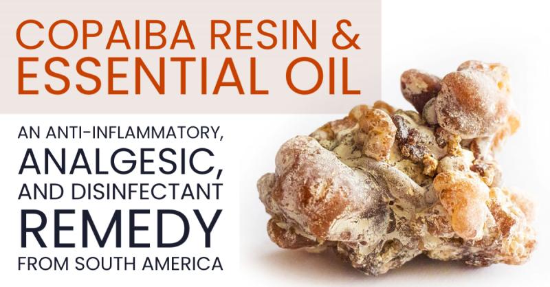 Copaiba Resin and Essential Oil: An anti-inflammatory, analgesic, and disinfectant remedy from South America