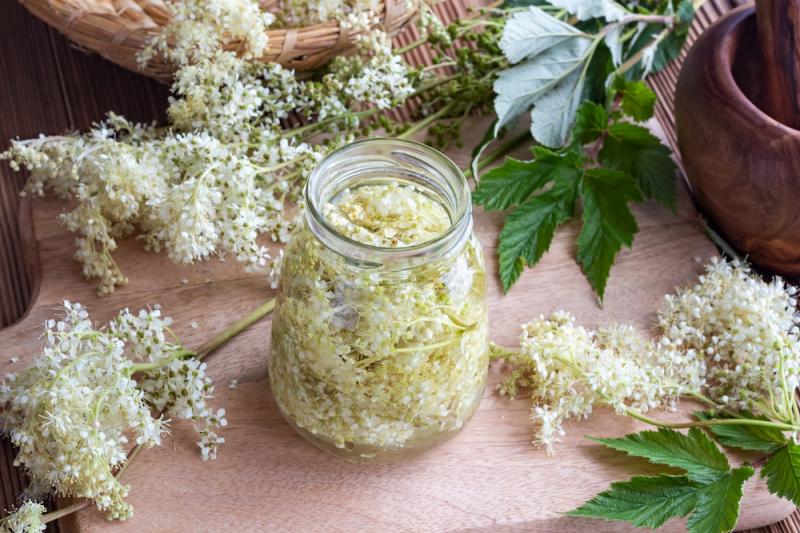 Meadowsweet tea