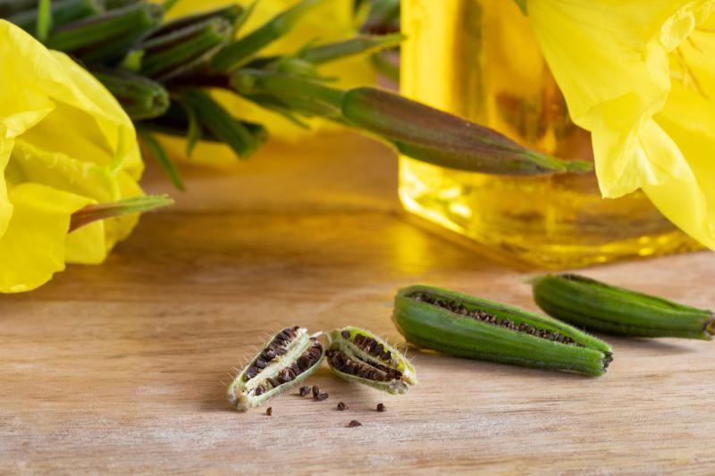 Evening primrose seed and oils