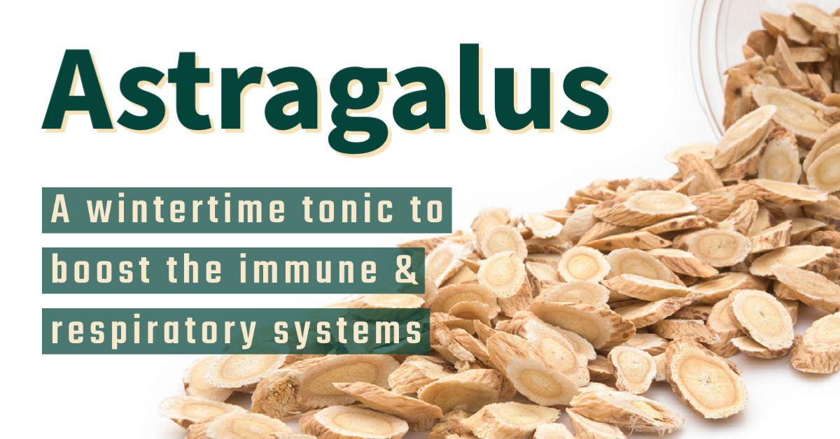 Astragalus the Winter Weather Immune Booster