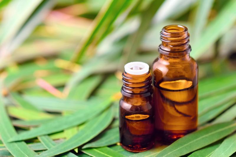 Eucalyptus Essential Oil