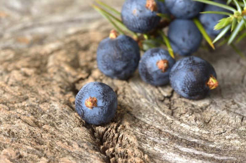 Juniper Berries