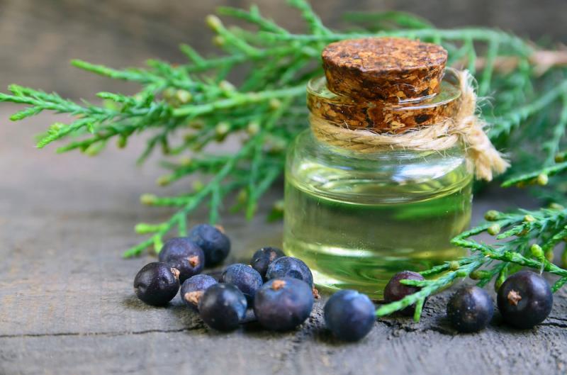 Juniper Berries Essential Oil