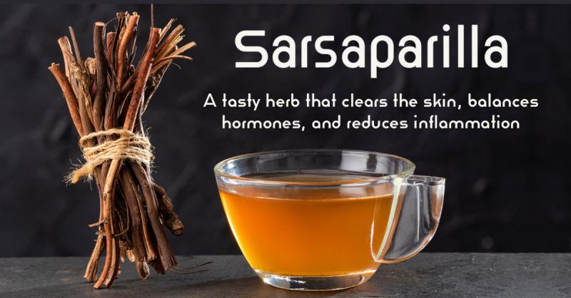 Sarsaparilla: A tasty herb to clear the skin, balance hormones, and reduce inflammation