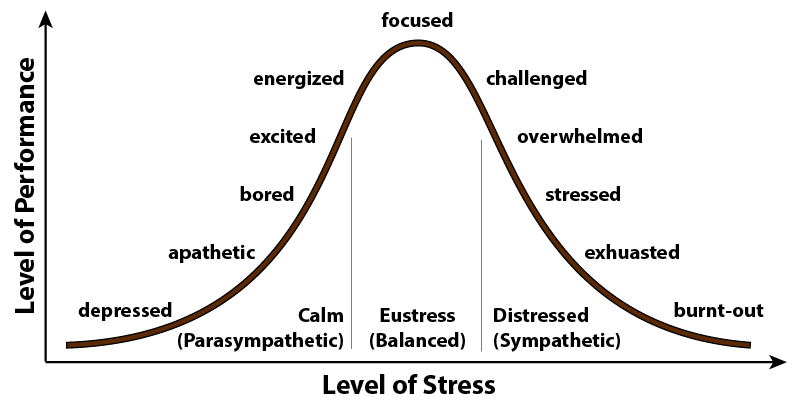 Level of stress to performance chart