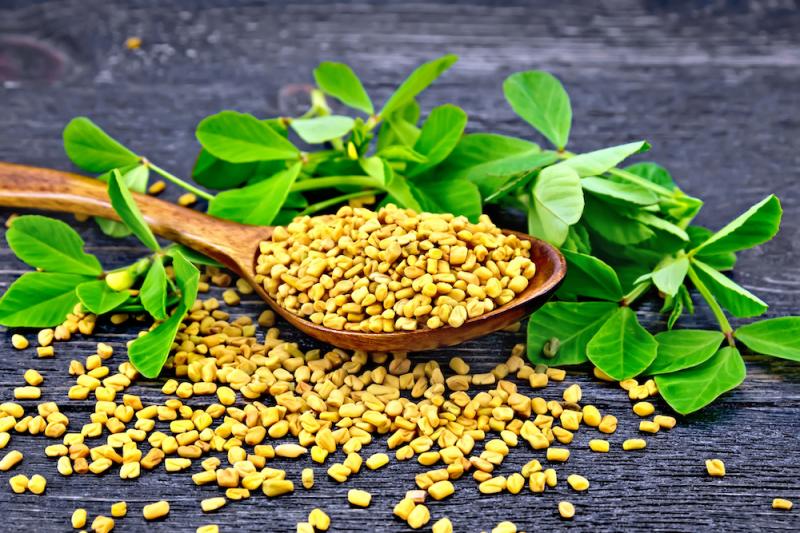 Fenugreek leaves and seeds