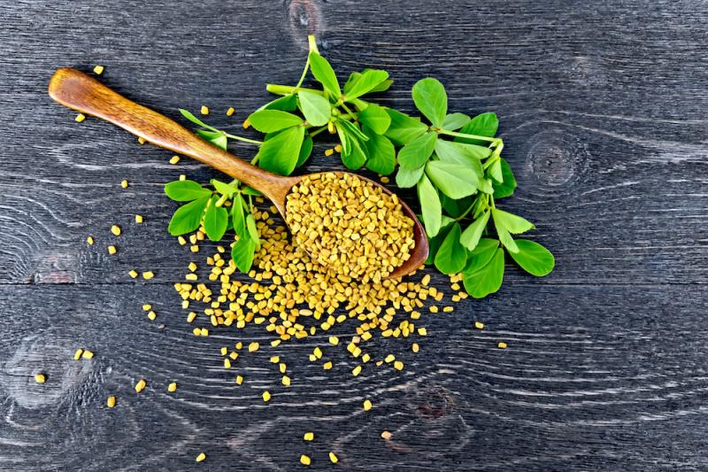 The TimeTested Uses of Fenugreek Article