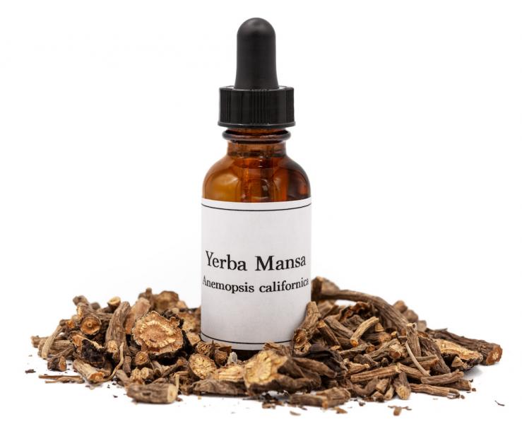 Yerba Mansa Tincture