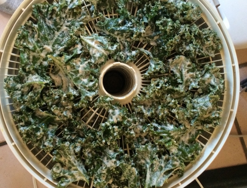 3 Dehydrating Kale Chips