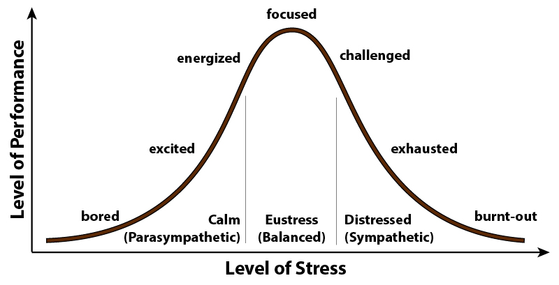 stress performance