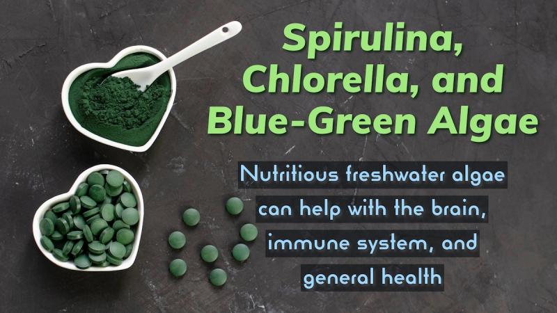 Spirulina, Chlorella, and Blue-Green Algae: Nutritious freshwater algae can help with the brain, immune system, and general health