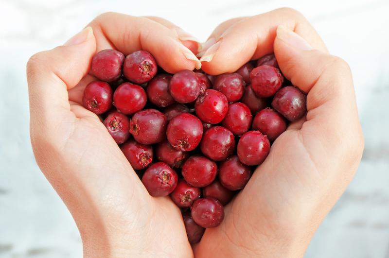 Hawthorn: Heart Health and Beyond - Article - Stevenhorne.com