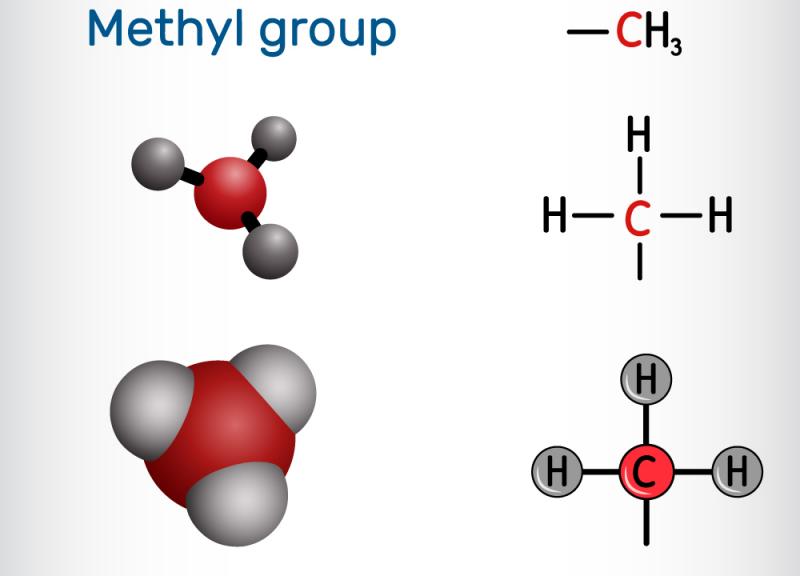 Methyl Group