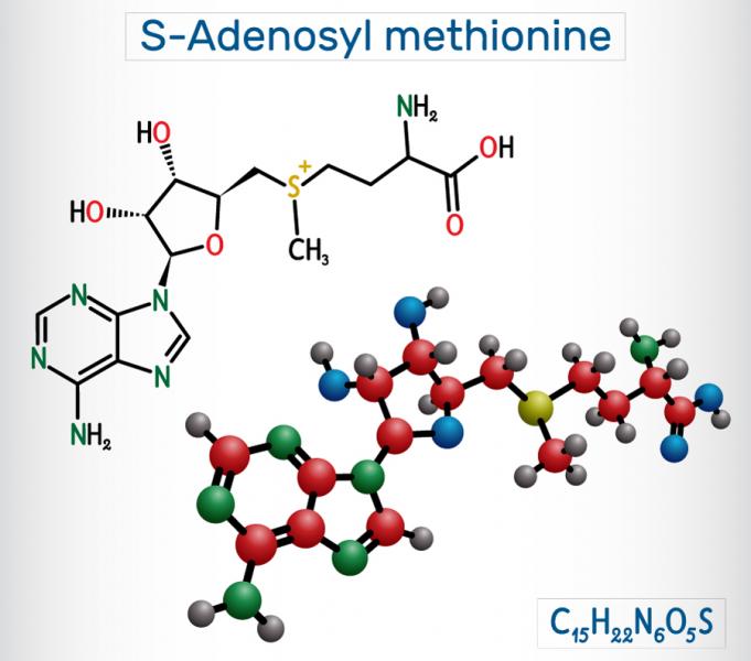 SAMe molecule