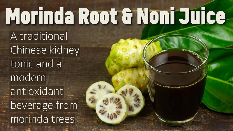 Morinda Root and Noni Juice: A traditional Chinese kidney tonic and a modern antioxidant beverage from morinda trees