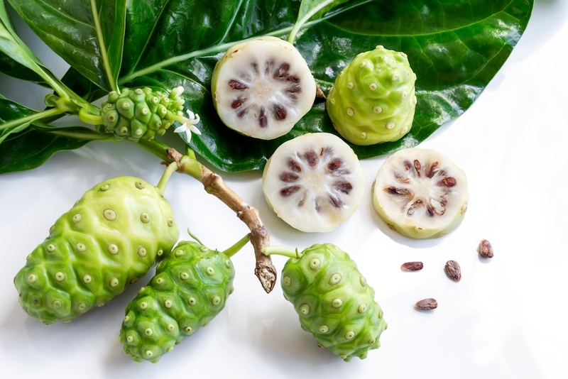 Noni Morinda Citrifolia