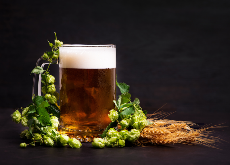 Beyond Beer: The Sedating Power of Hops