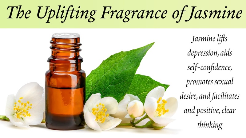 The Uplifting Fragrance of Jasmine: Jasmine lifts depression, aids self-confidence, promotes sexual desire, and facilitates and positive, clear thinking
