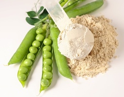 Pea and Rice Protein Powder