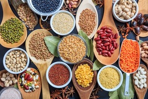 Green Food Protein Powder