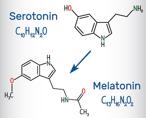 Serotonin Melatonin article