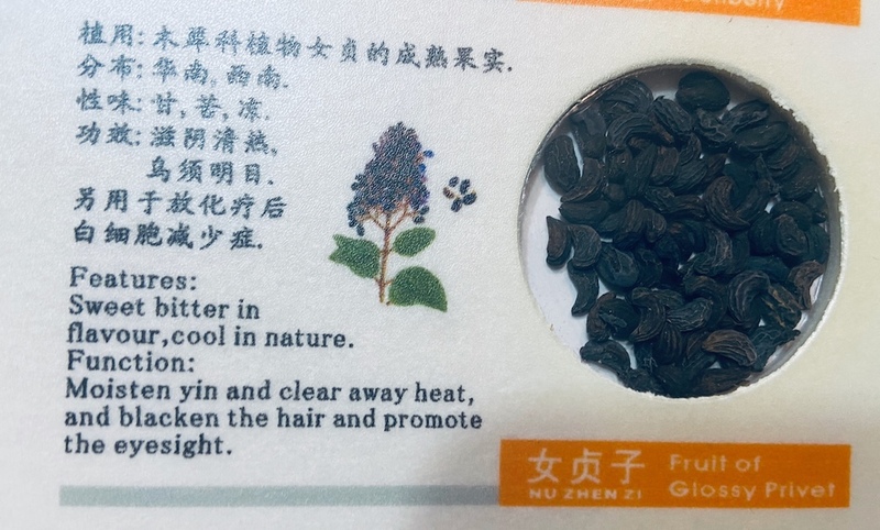 Ligustrum TCM