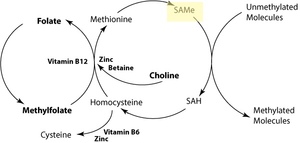 SAMe (S-Adenosyl-L-methionine)
