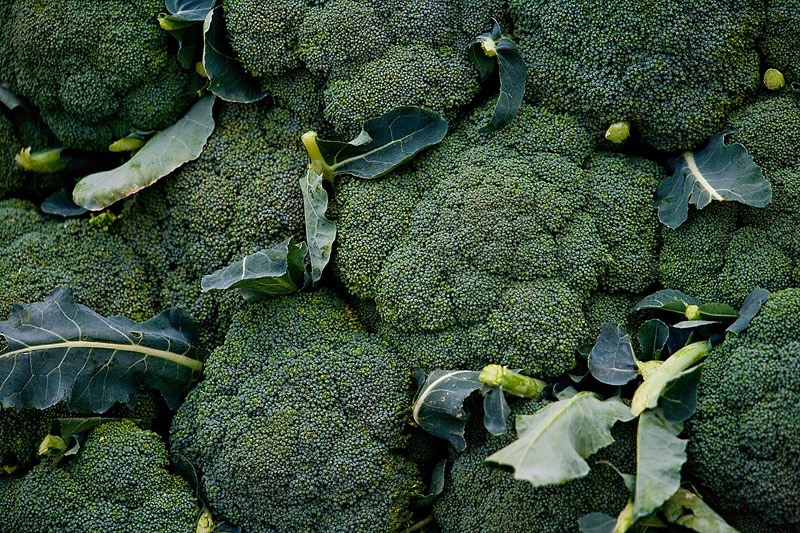 Broccoli Article