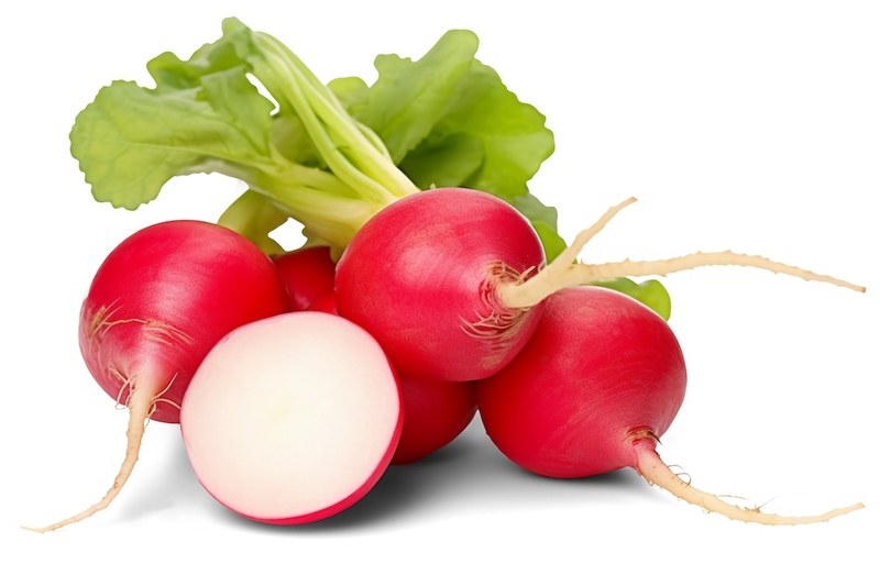 Red Radish