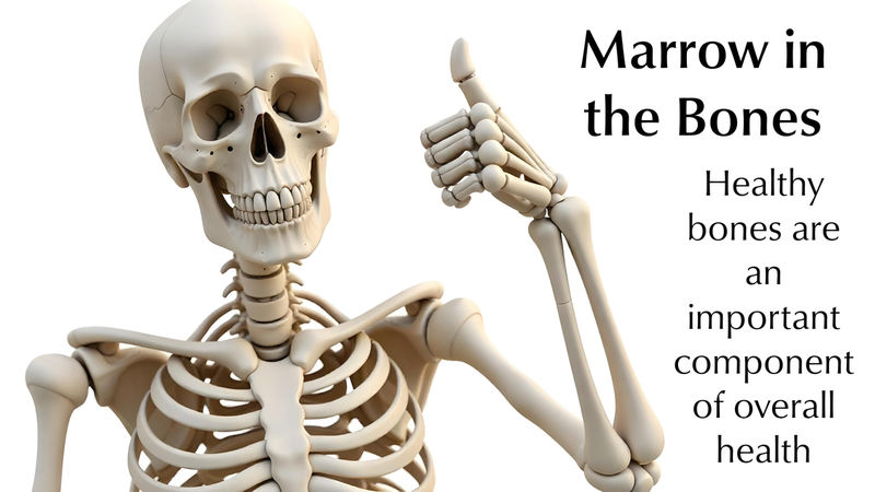 Marrow in the Bones: Healthy bones are an important component of overall health