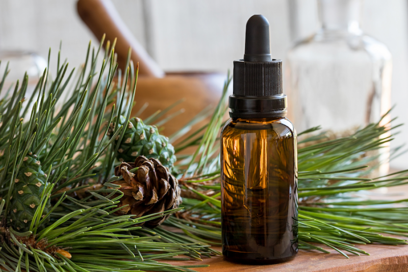 Pine Essential Oil