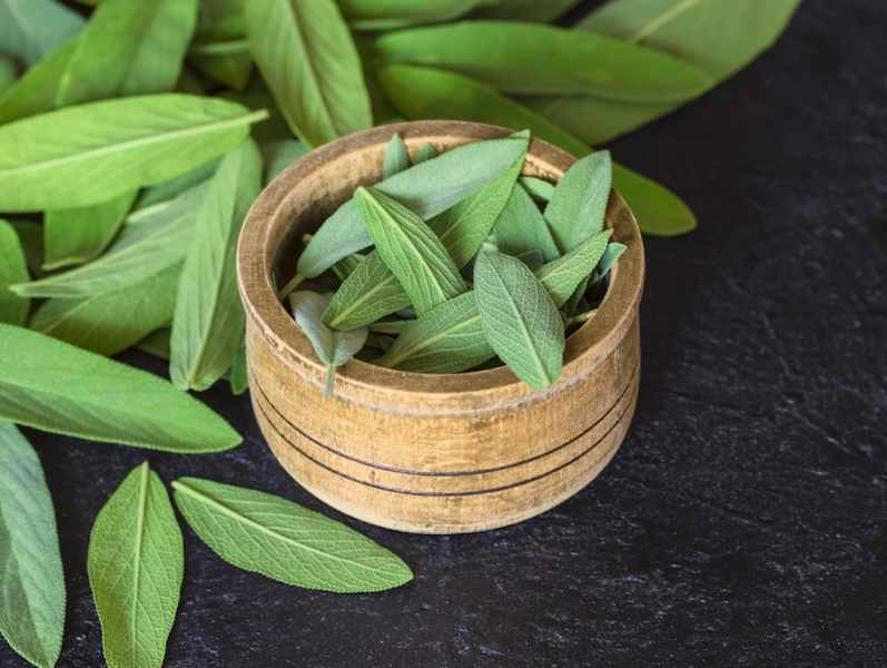 Sage Leaves