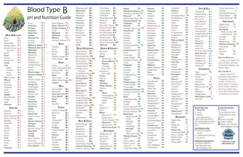 Blood Type B Chart