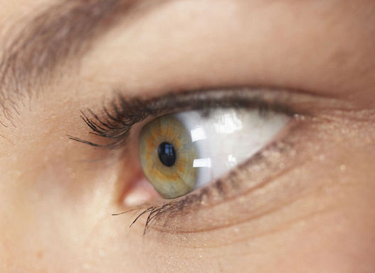Iridology: An Essential Health Assessment Tool