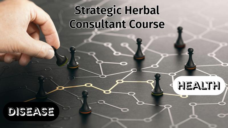 Strategic Herbalism Class Logo