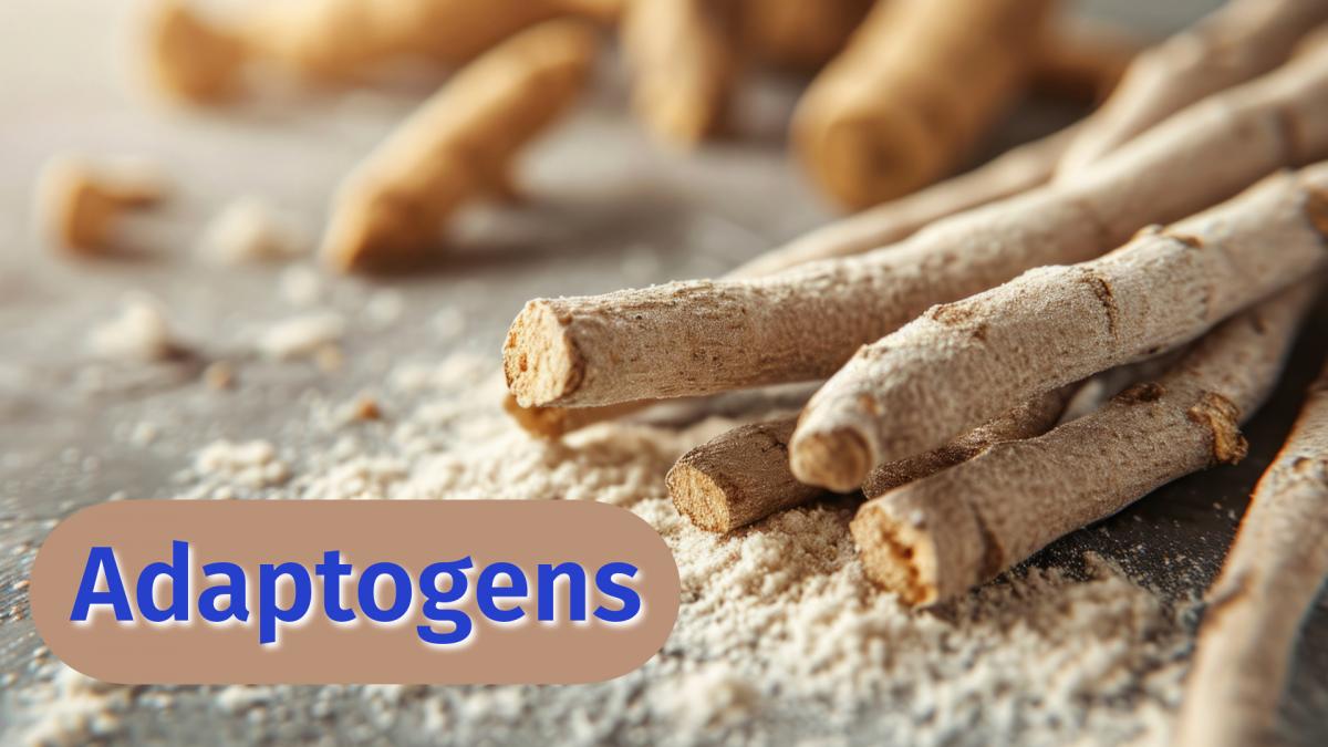 Adaptogens: How adaptogens and glandular tonics can help you cope with a stressful world