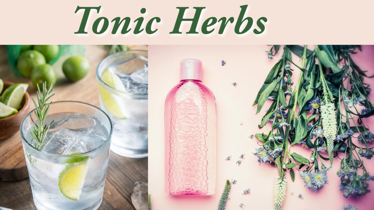 Tonic Herbs