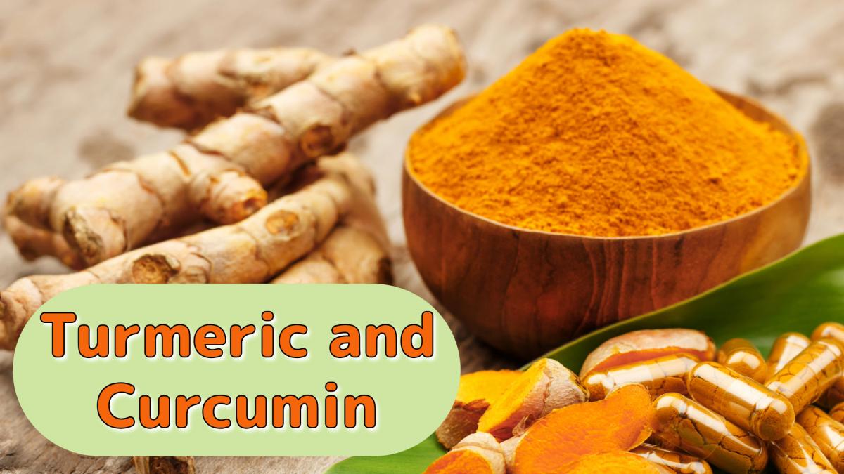 Turmeric and Curcumin