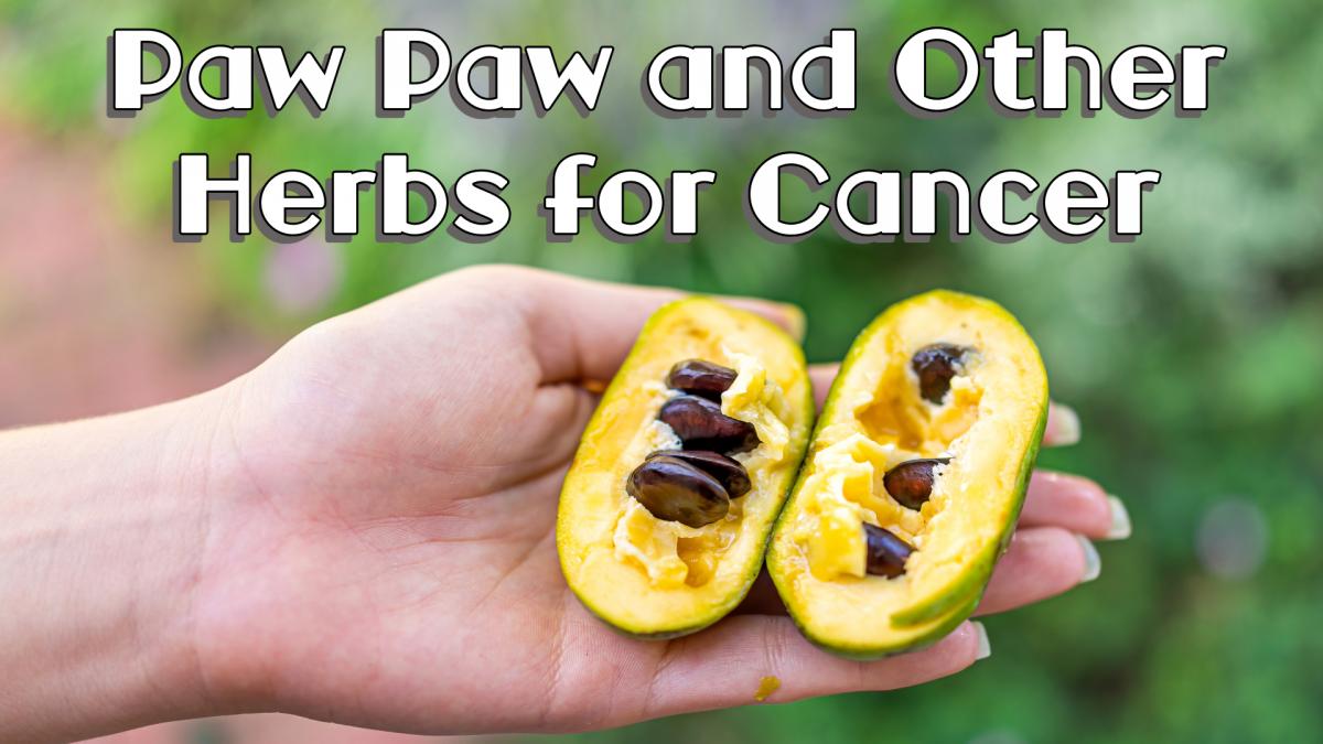 Paw Paw and Other Herbs for Cancer