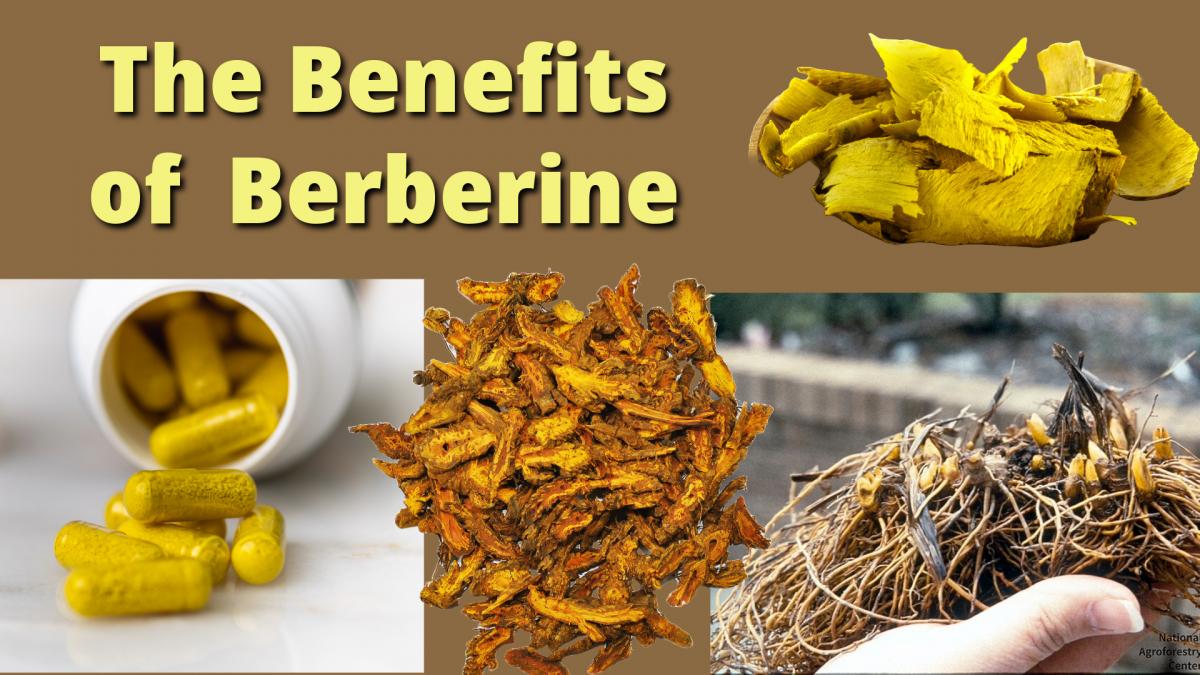The Benefits of NSP's Berberine Products