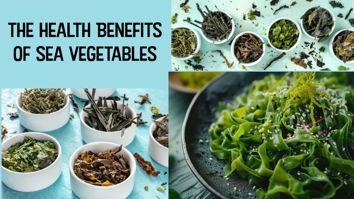  The Health Benefits of Sea Vegetables