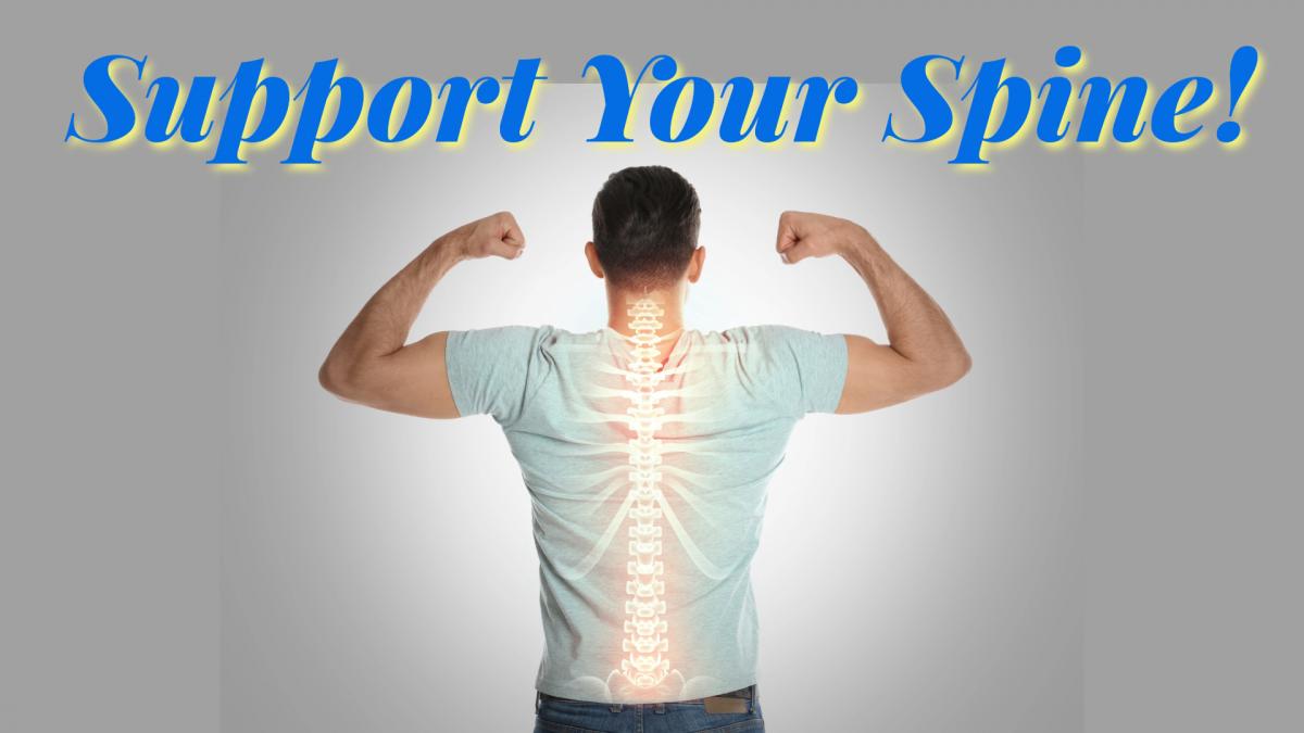 Support Your Spine!