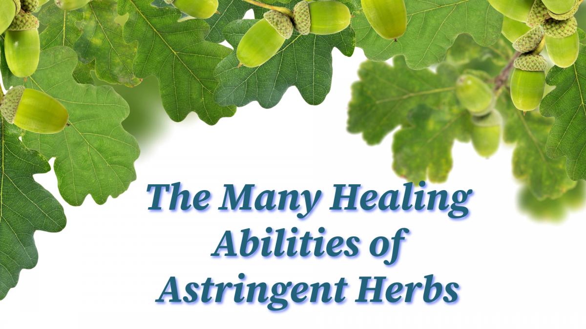  The Many Healing Abilities of Astringent Herbs